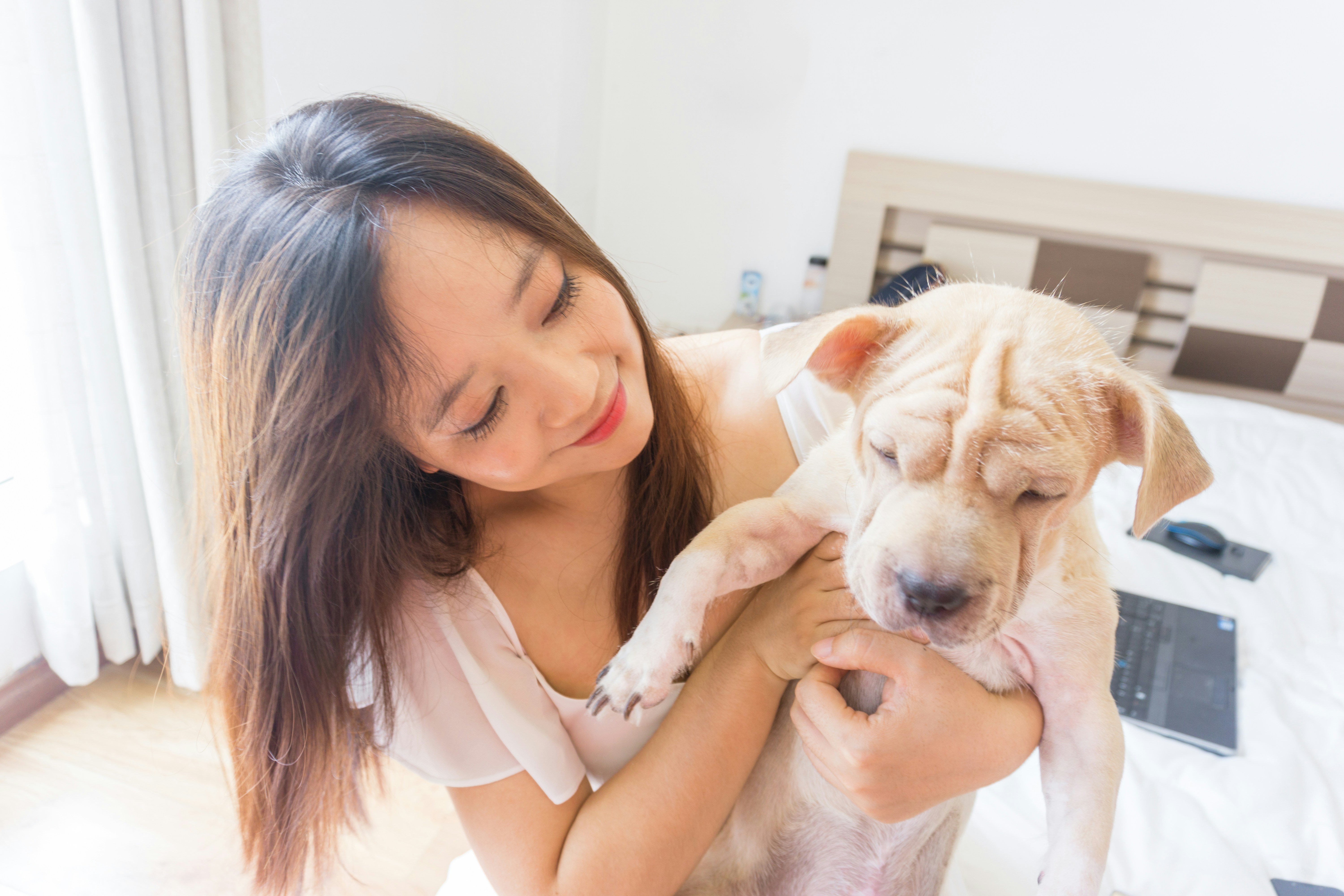 best-rated customer support pet health insurance claims 2025