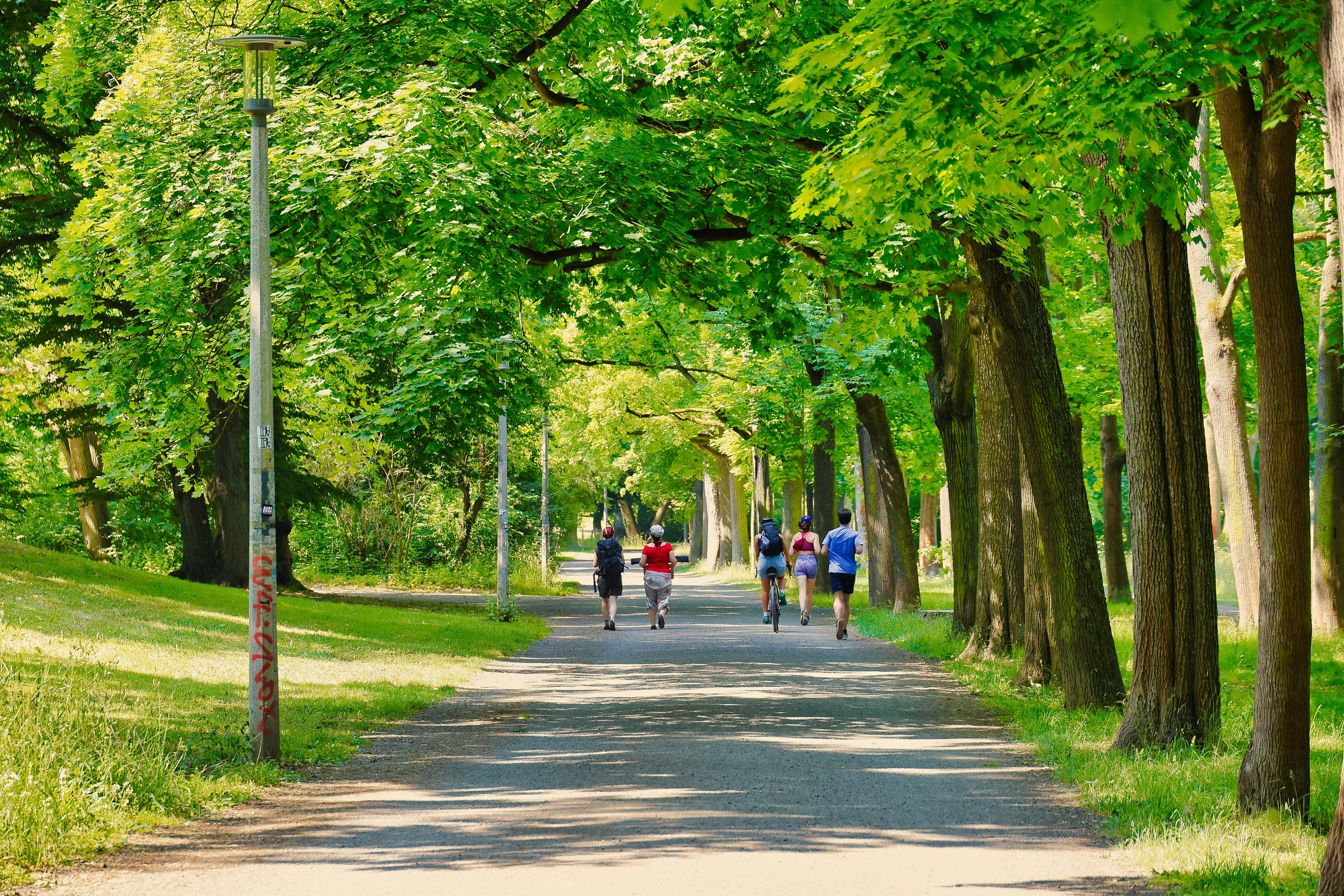 person jogging in a park to improve health and lower premiums - Life insurance premium